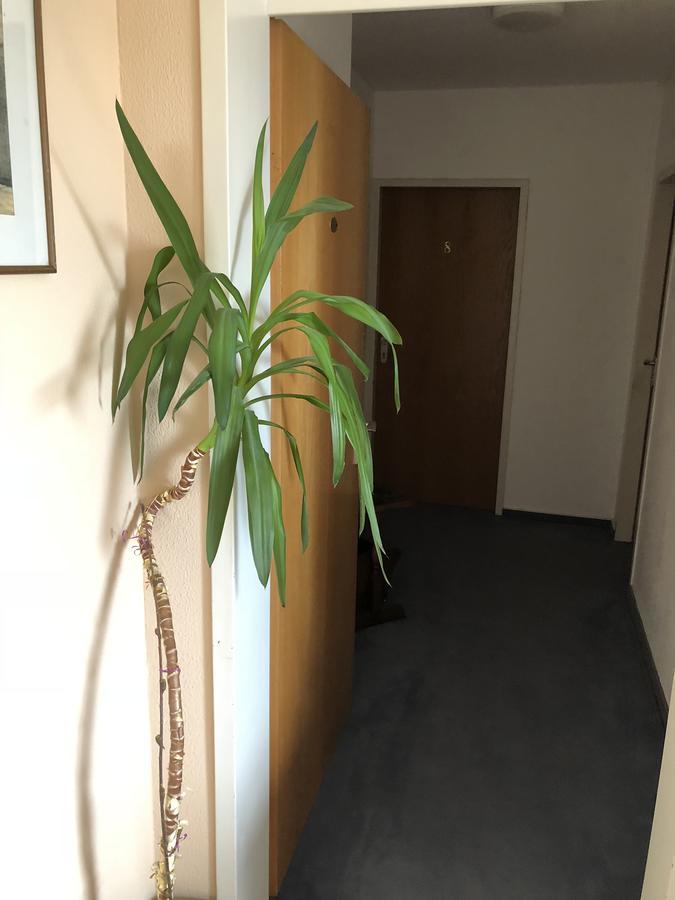 Hotel Junkerhaus Bad Salzuflen Eksteriør billede